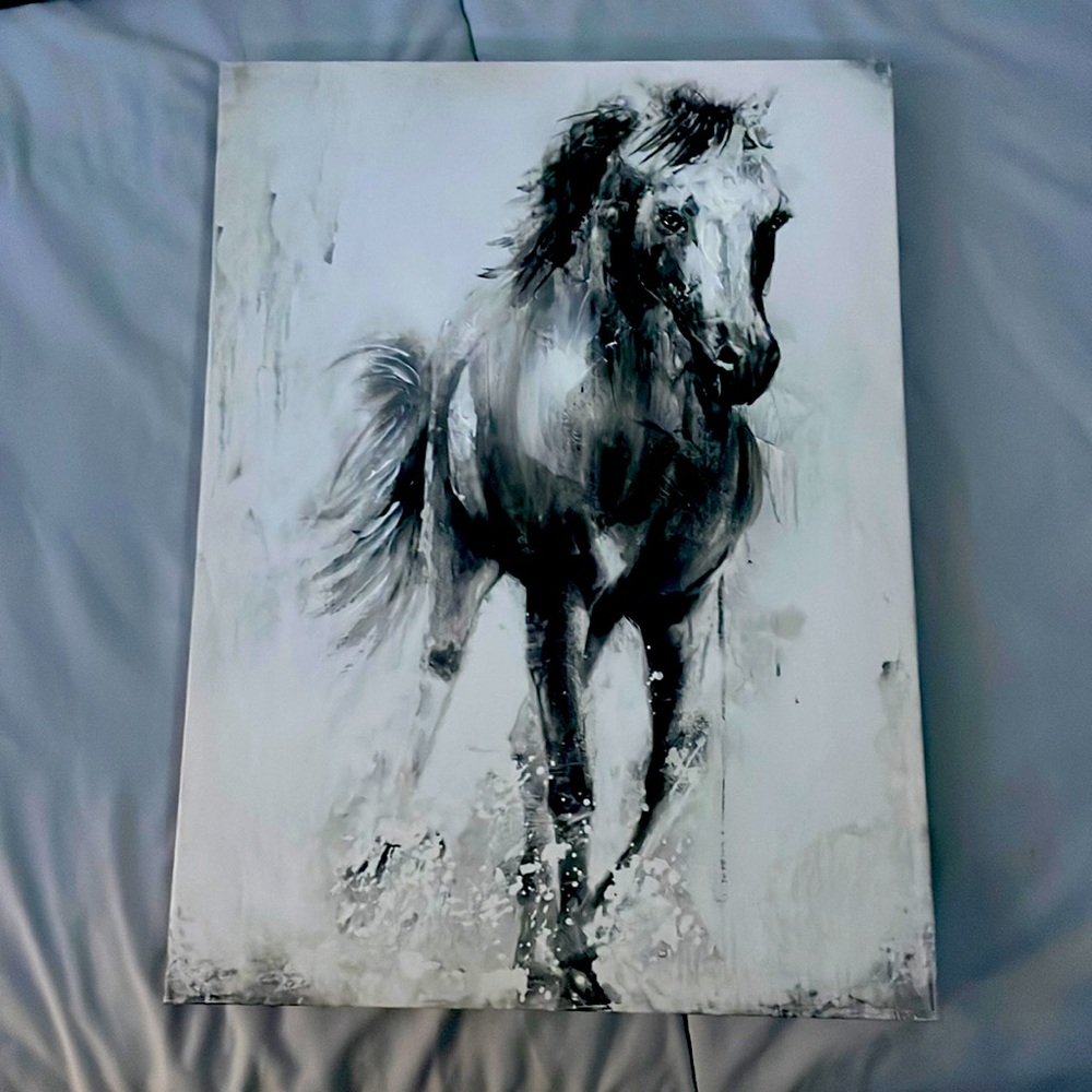 White and black horse painting. Brand new, doesn’t fit my room aesthetic